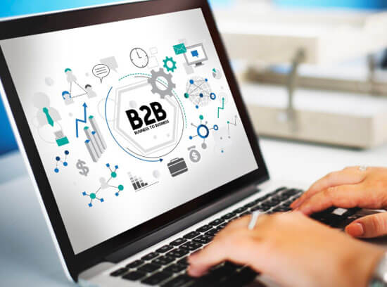 B2B custom software in hosur