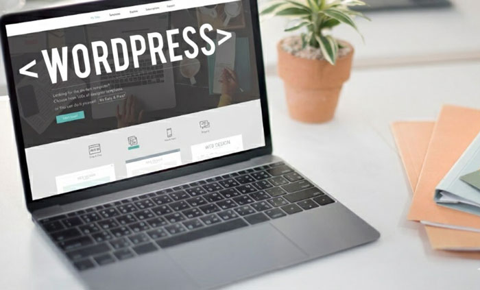 wordpress development in hosur